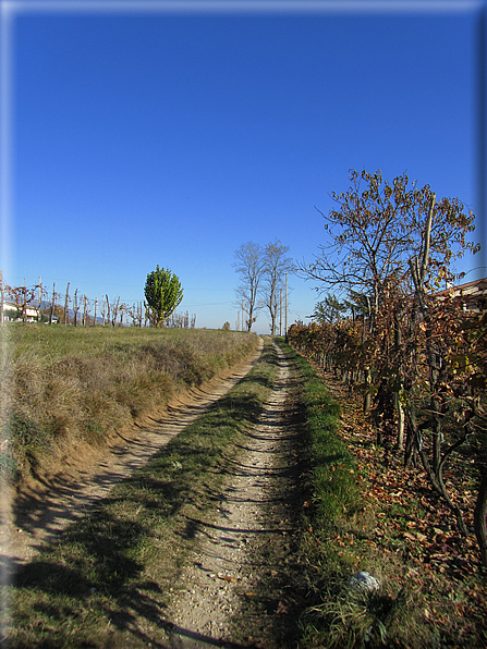 foto Alle pendici del Monte Grappa in Autunno